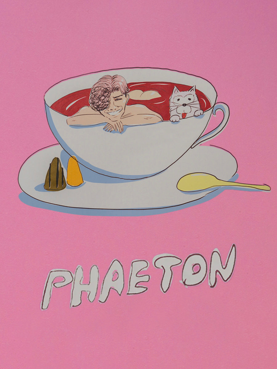 PHAETON WEB STORE RENEWAL