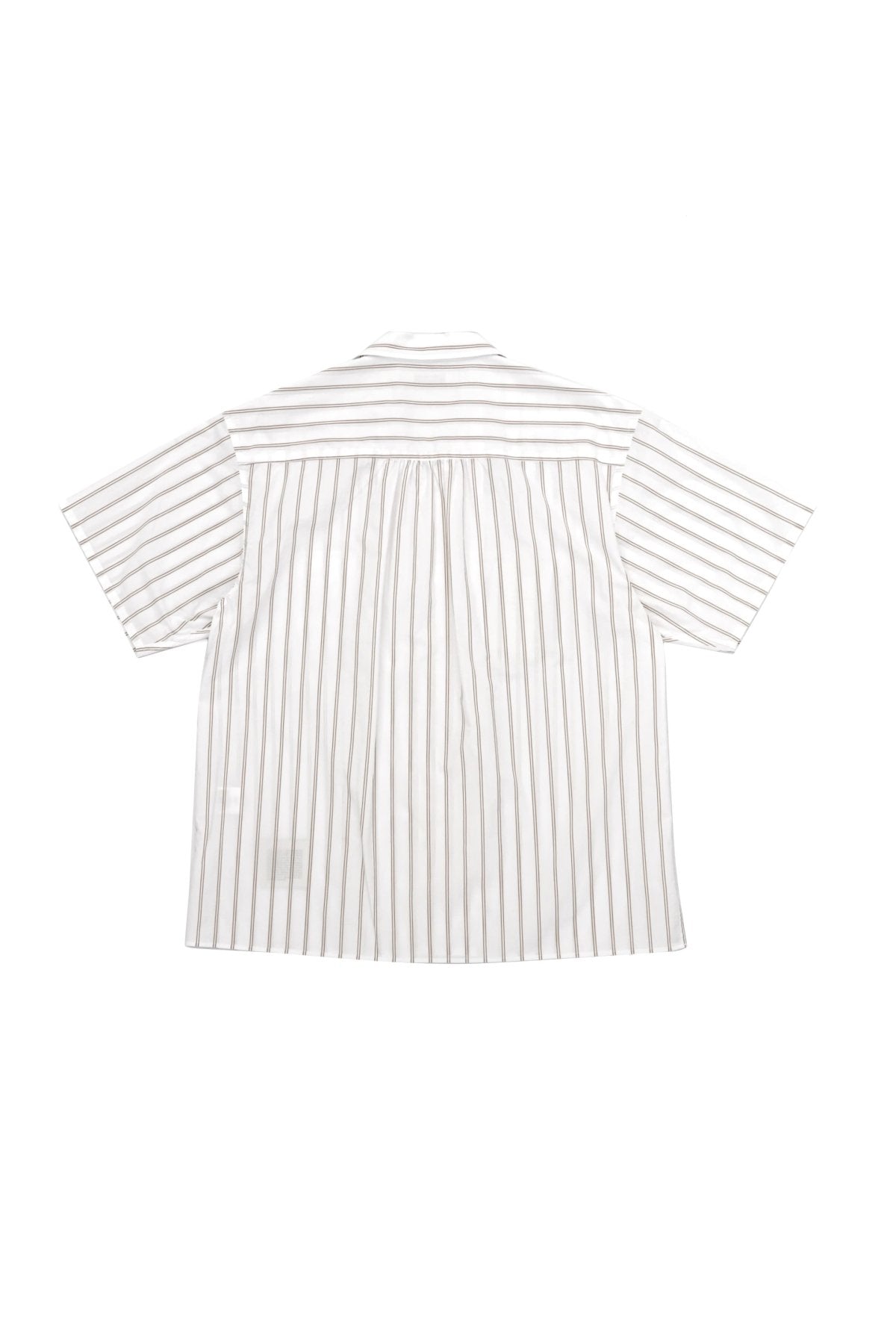 OLD JOE - SWALLOW COLLAR SPORTS SHIRTS S/S - BISQUE STRIPE