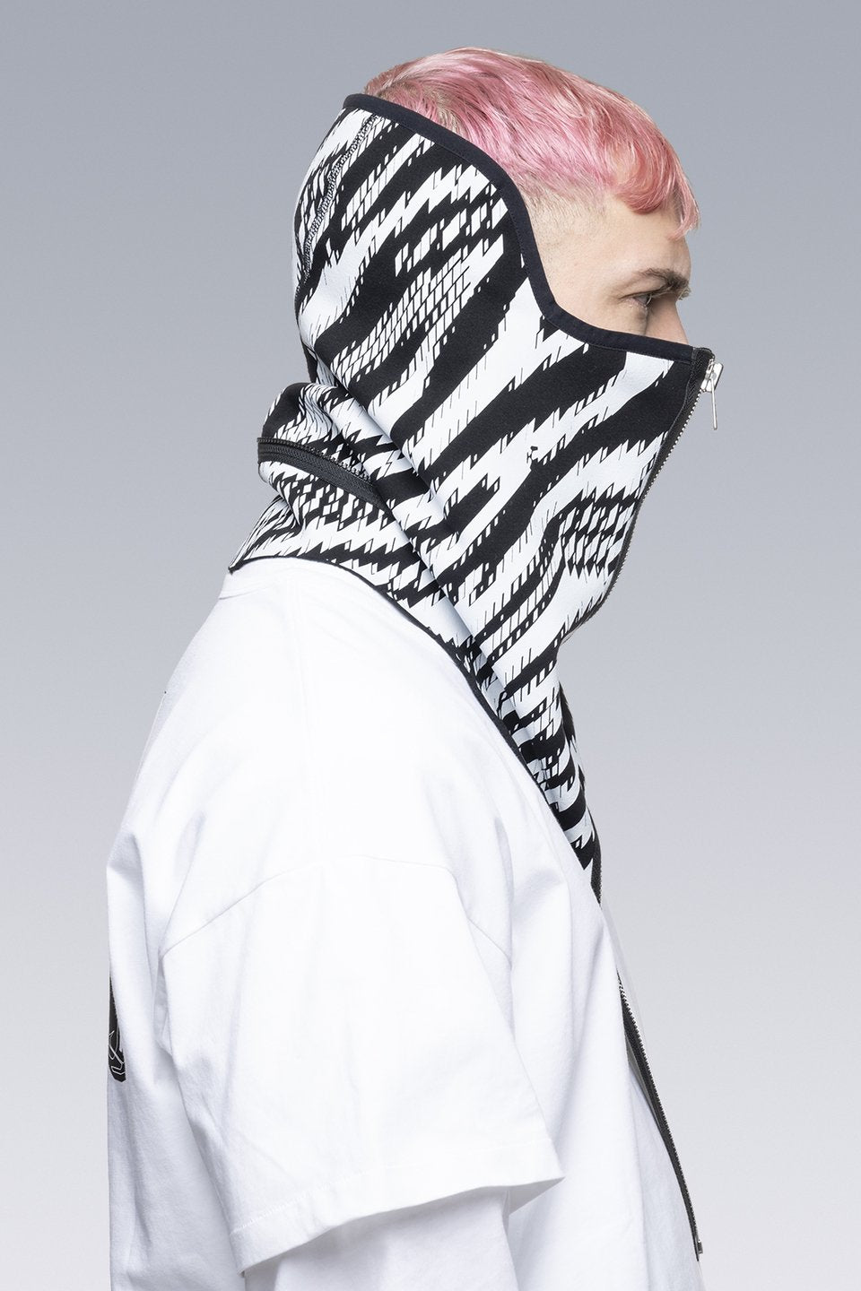 ACRONYM - NG4-PS - ZEBRA