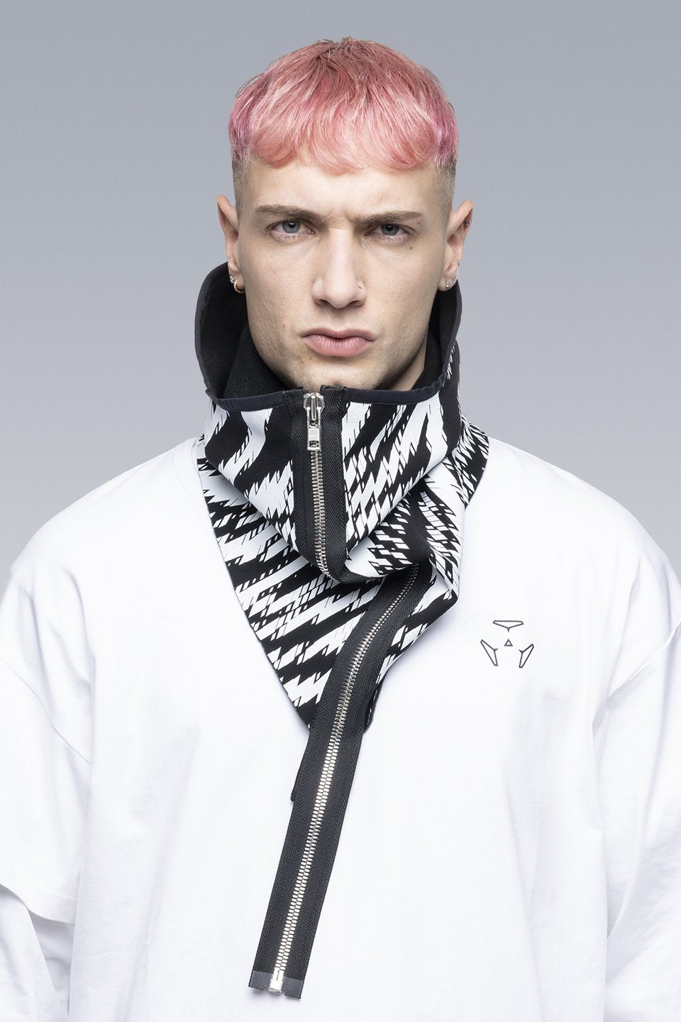 ACRONYM - NG4-PS - ZEBRA