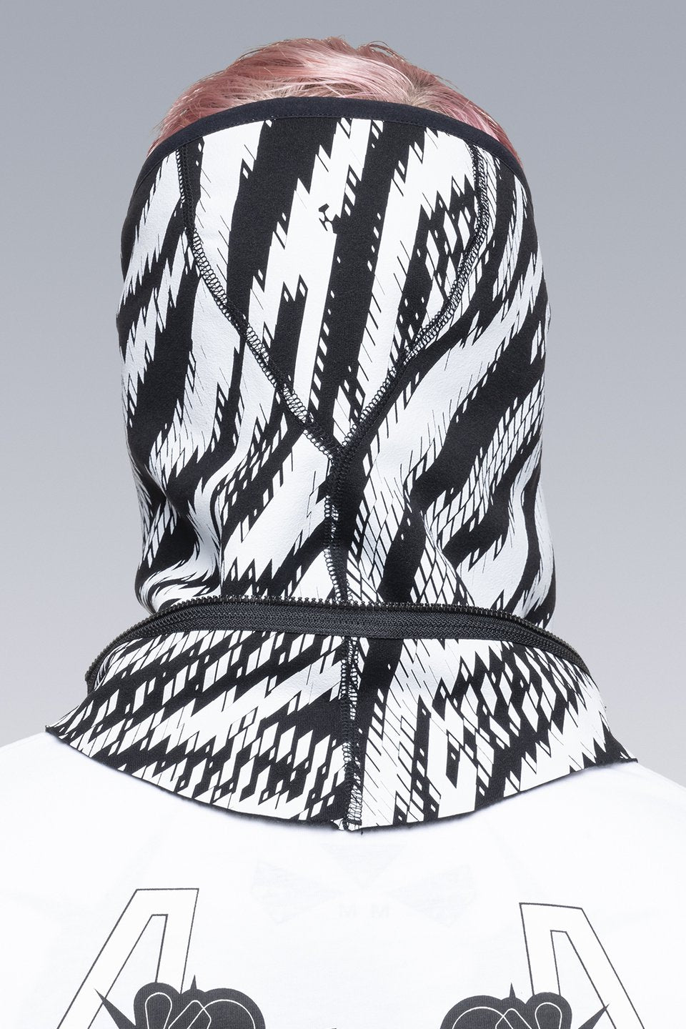 ACRONYM - NG4-PS - ZEBRA